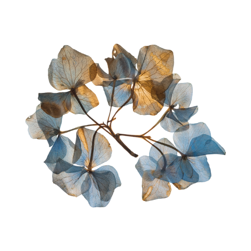 Arrangement Templates